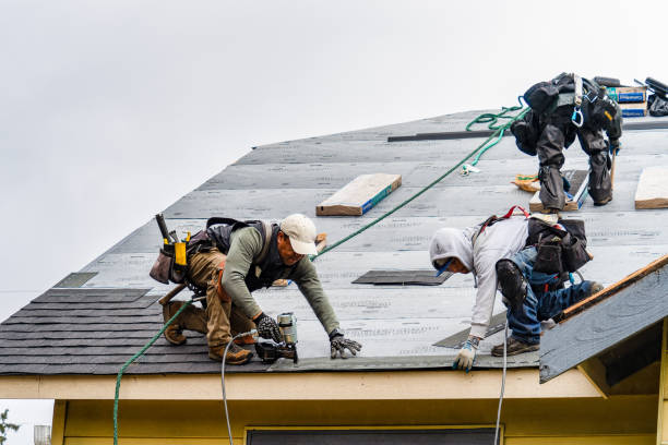 Professional Roof Repair technician working in Yoder, CO
